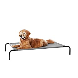 Elevated chew resistant bed