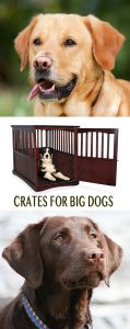 help with finding and choosing the best crates or cages for Labradors and other larger dog breeds