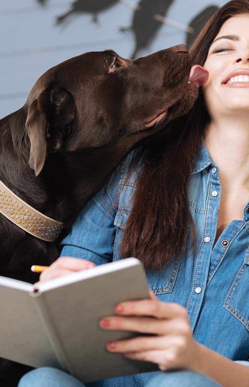 My dog won't leave me alone! What to do if your dog is annoying you in the evenings